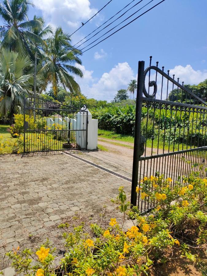 Villa Luana Yuna Au Cap Exterior foto